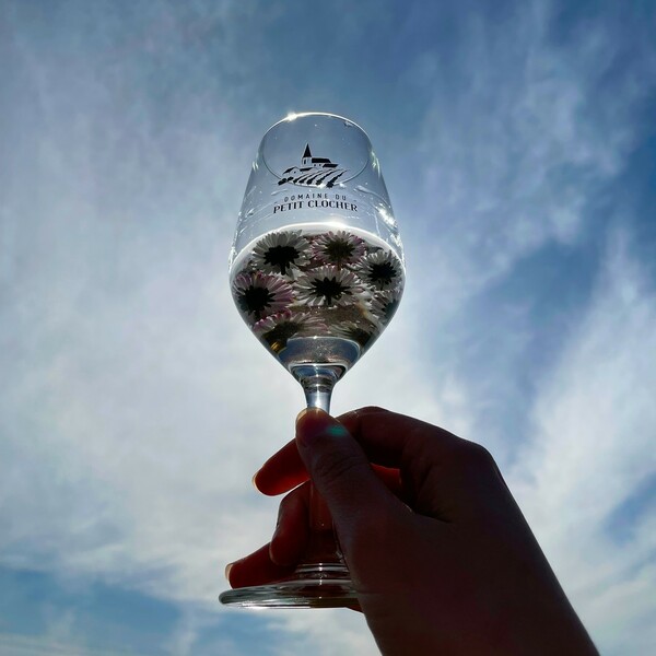 Vive le printemps ! ☀️🌸

#domainedupetitclocher #soleil #wine #vinsvaldeloire #winelover
